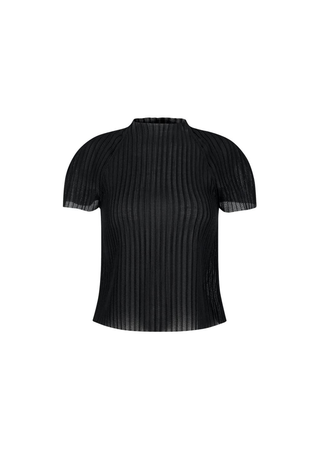 Women's Pleats Raglan Top, Black
