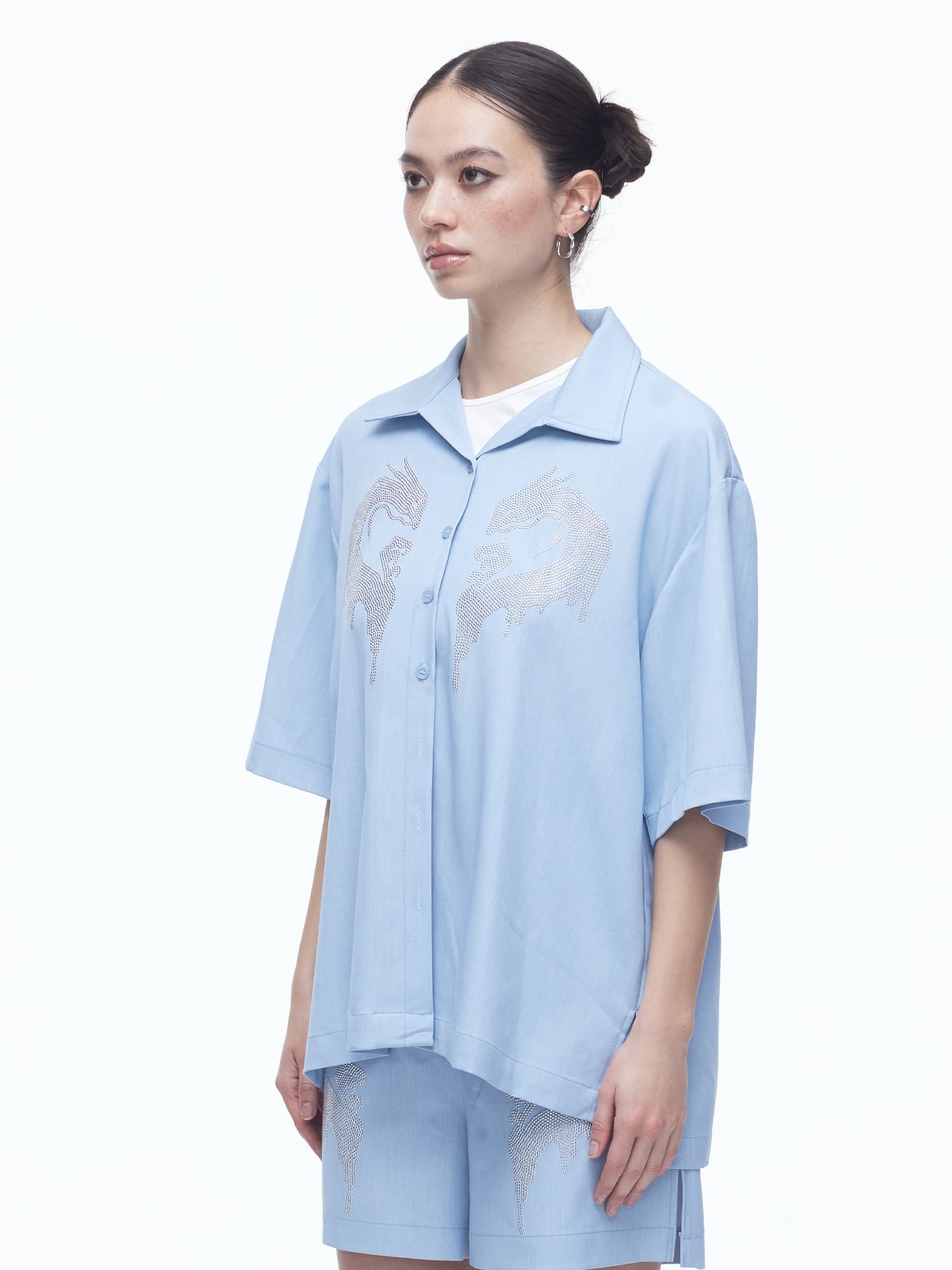 Dragon Hotfix Shirts (BL) — vue 2