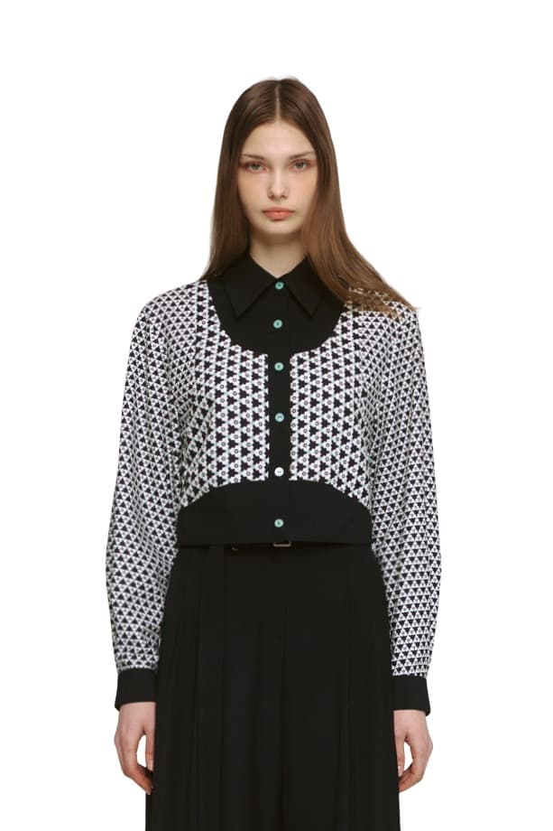 Colorblock Semi-Crop Blouse (PB)