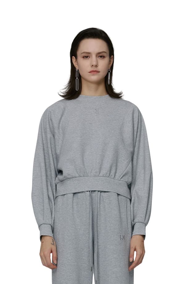 Embroidery Semi-cropped Sweatshirt (GRAY)
