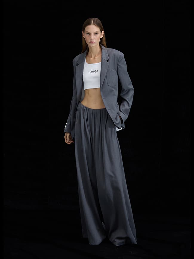 Wide Pleated Pants — vue 14