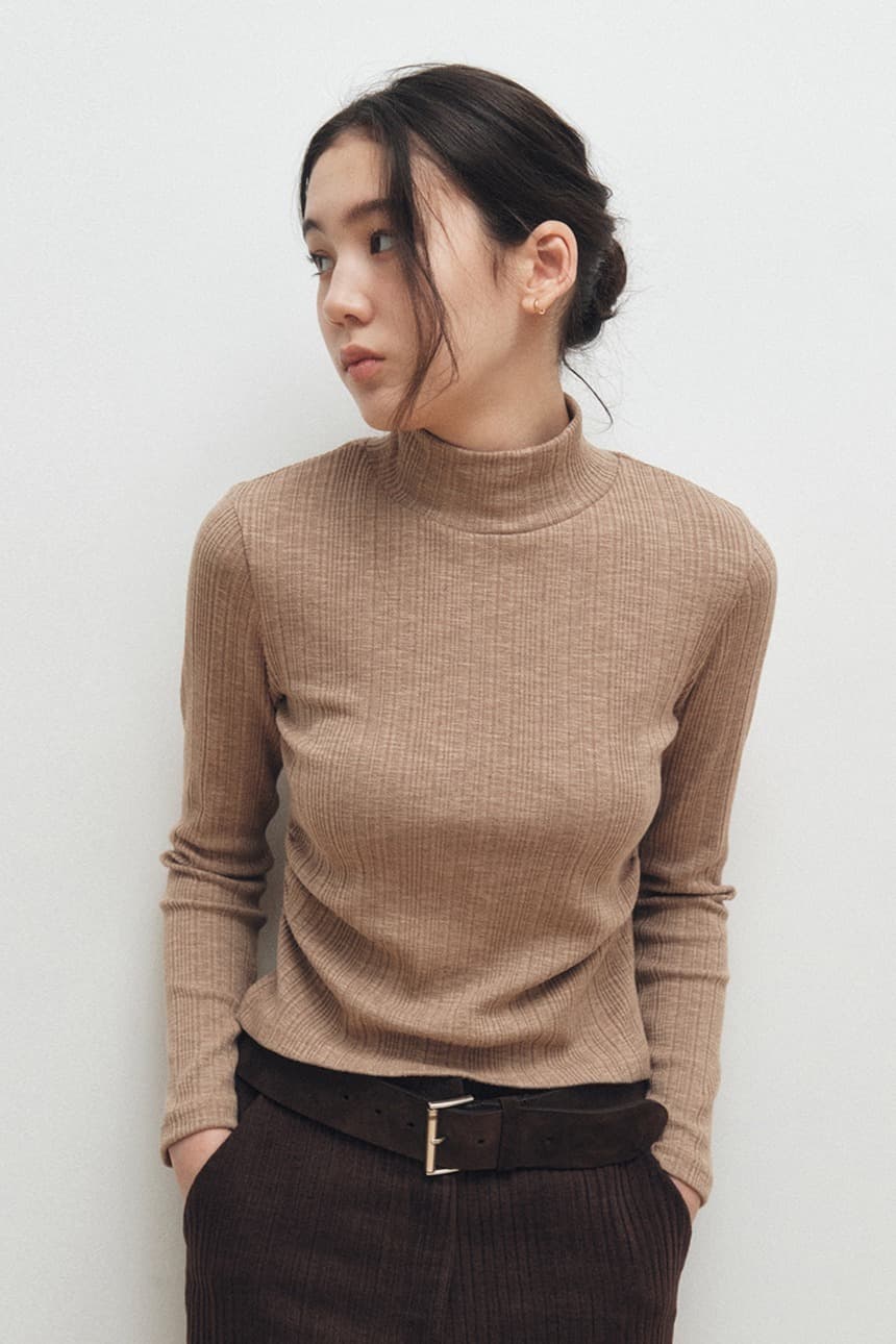 Shirring Ribbed Turtlneck (Brown)