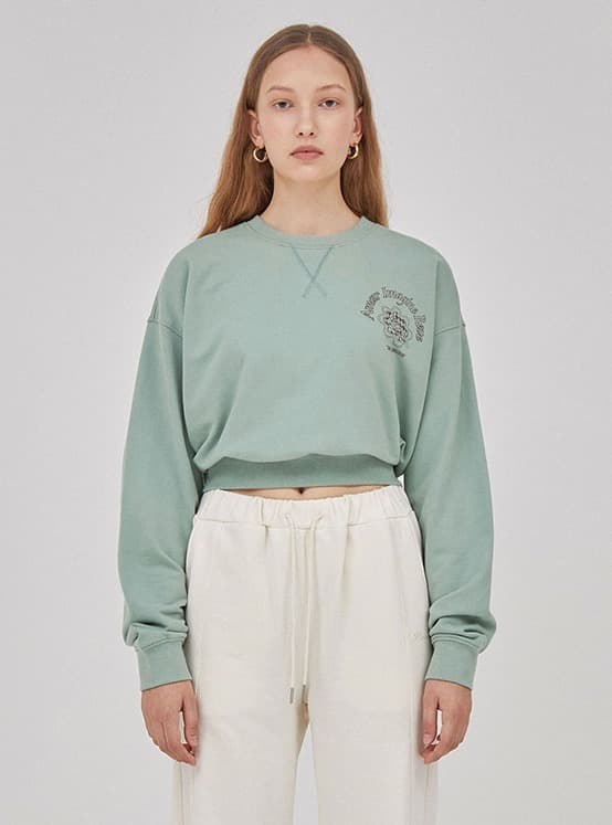 Rose Print Sweatshirt in Mint — vue 1