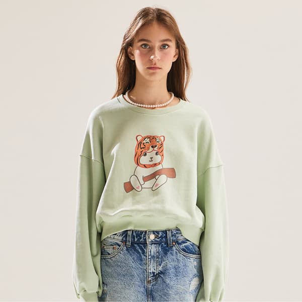 Tigerabbit Sweatshirt (Mint) — vue 3
