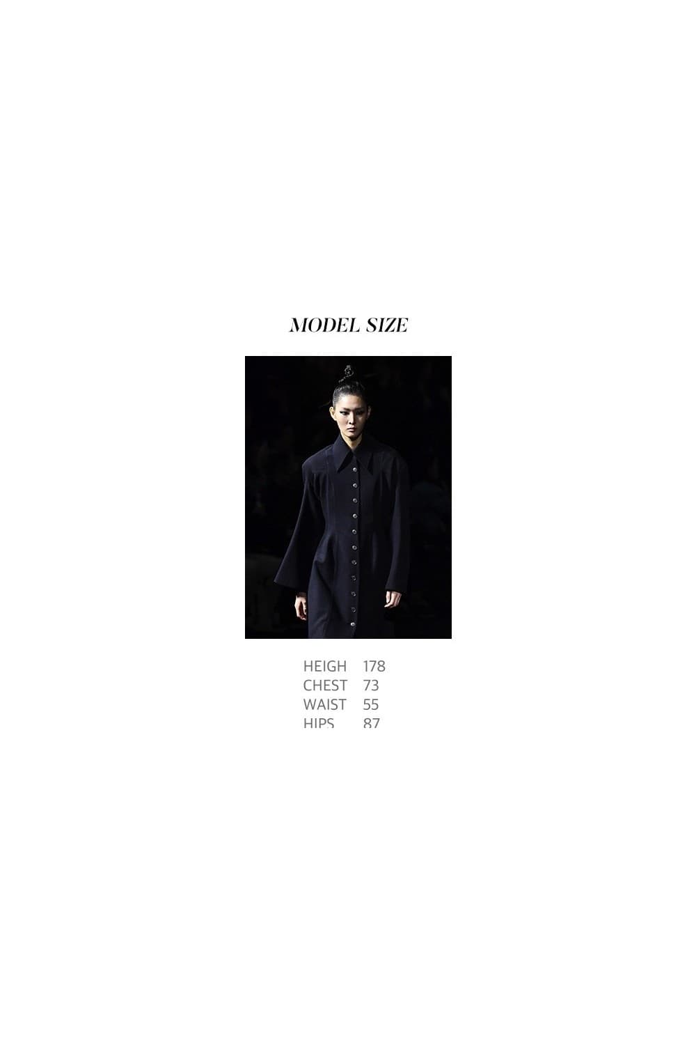 Navy Wool Coat Dress — vue 7