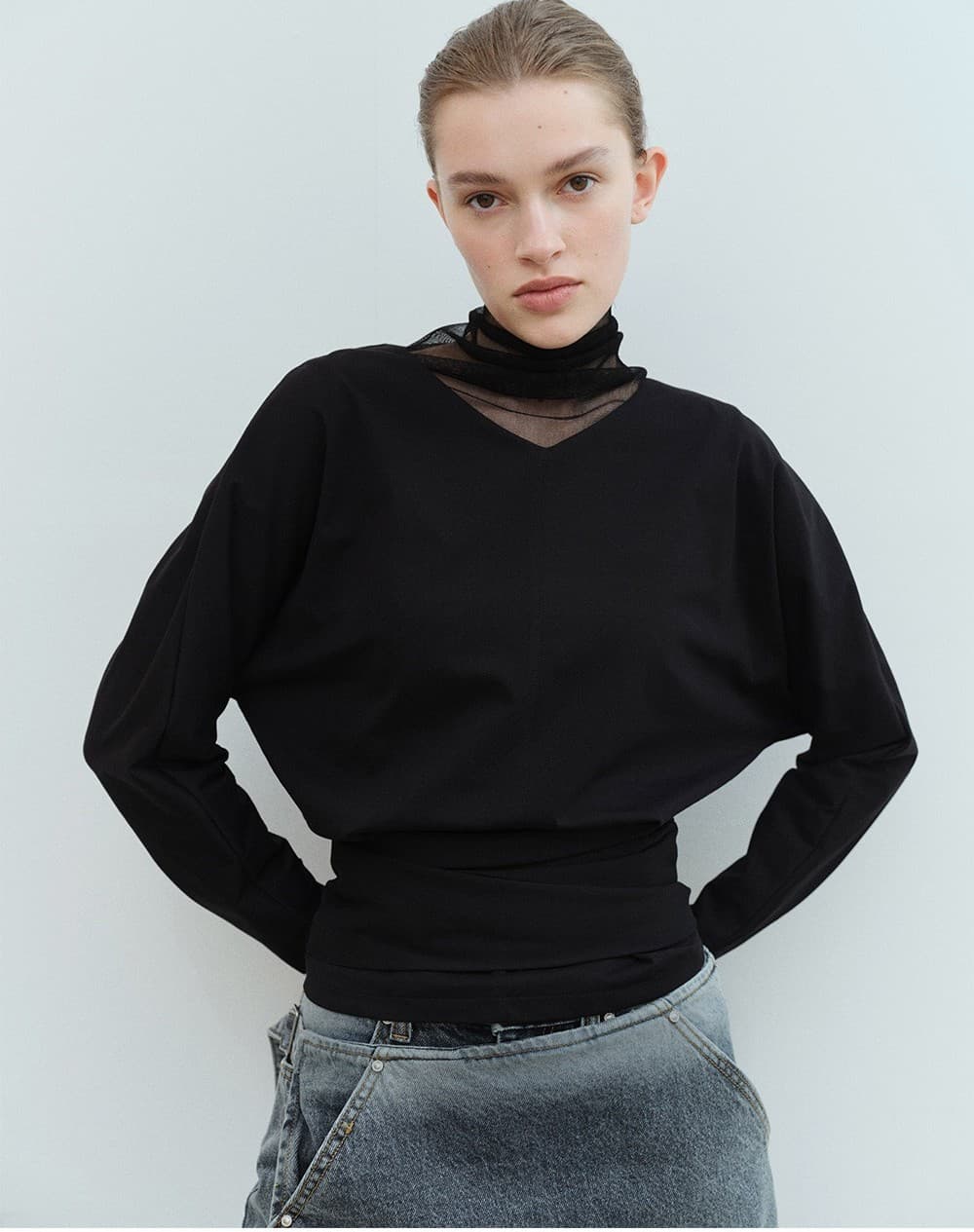 TVS SEE-THROUGH TURTLENECK TOP_BLACK — vue 3